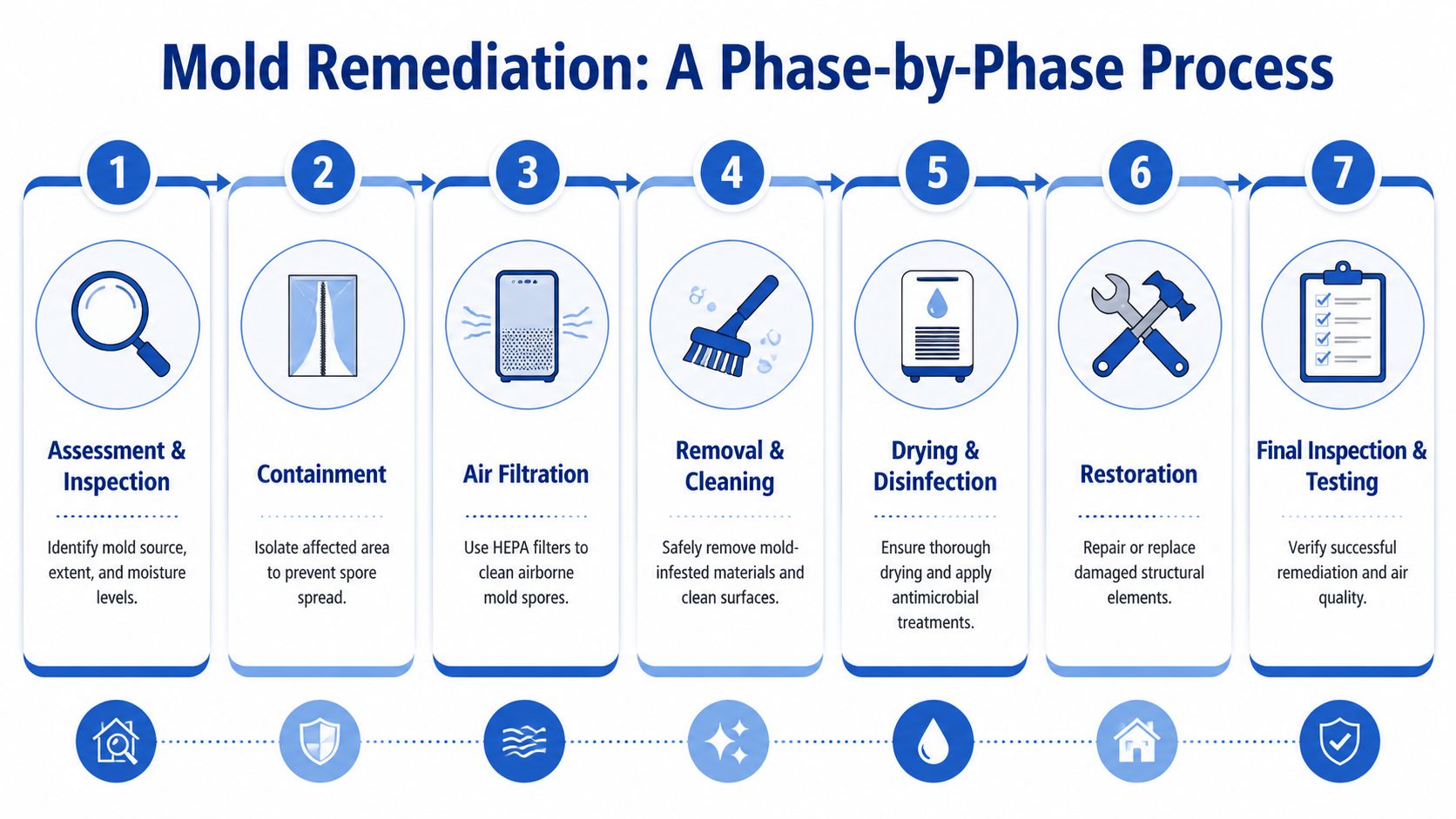 A seven-step flowchart infographic illustrating the systematic professional process for complete home mold remediation.