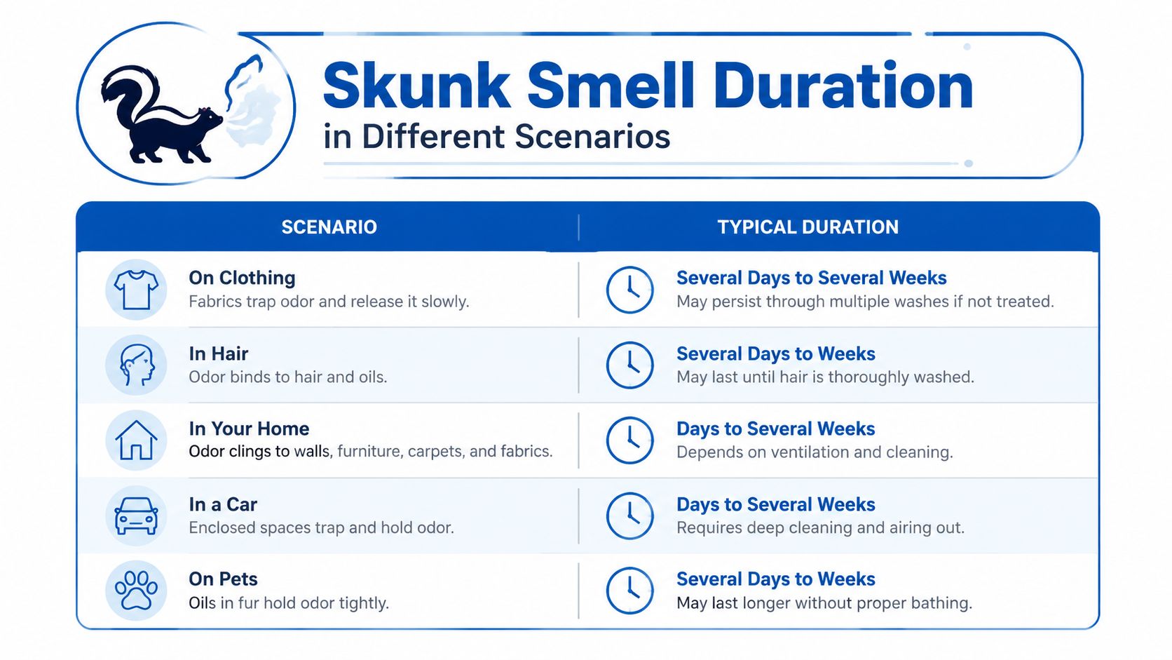 A chart detailing the typical duration skunk odor persists in various scenarios like clothing, hair, homes, cars, and pets.