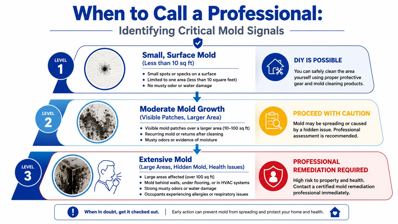 Critical Signs That Professional Remediation Is Required