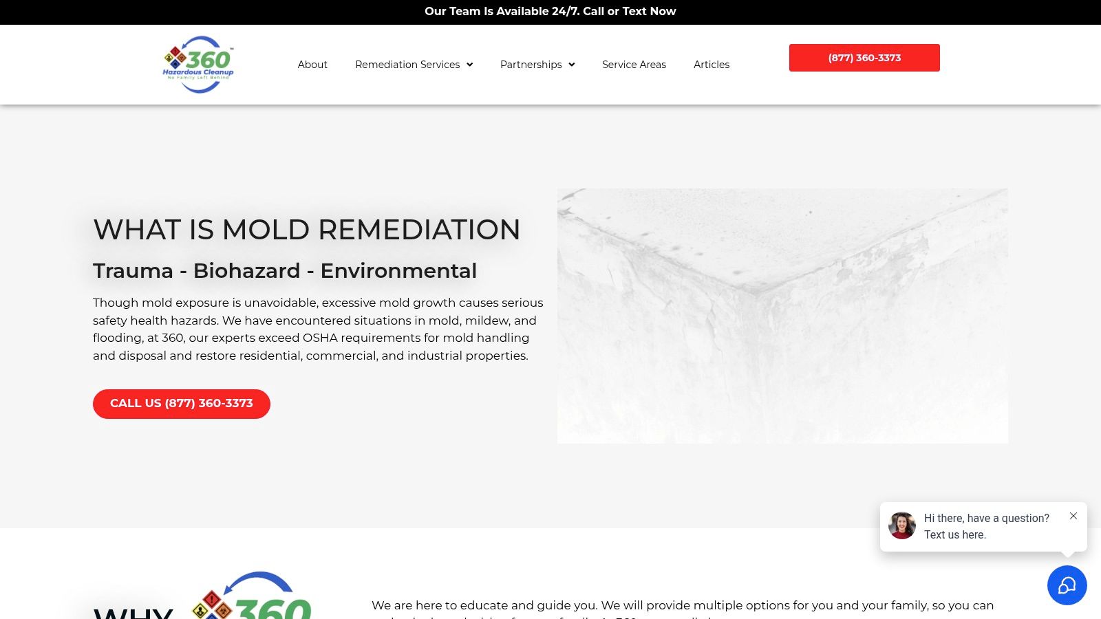 Mold Remediation Services | Safe Flood & Mildew Cleanup – 360 Hazardous