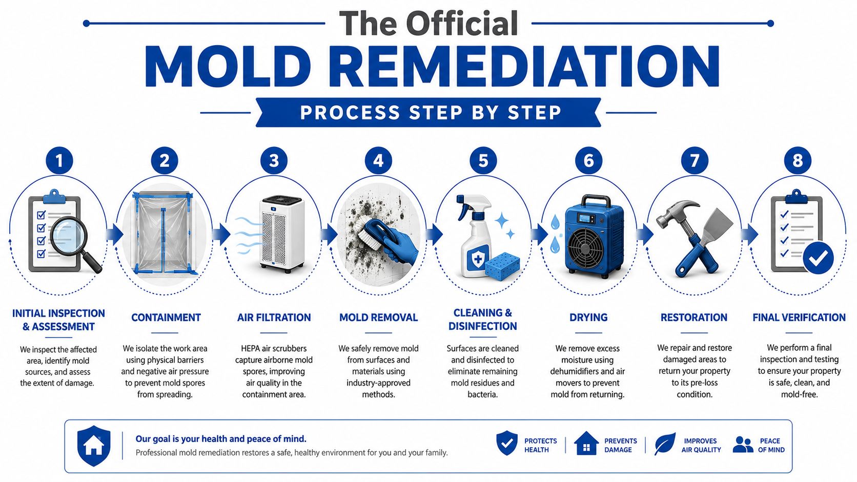 An infographic detailing the eight steps of professional mold remediation from inspection to final verification.