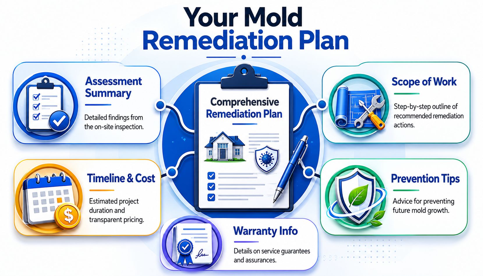 A comprehensive infographic illustrating a step-by-step professional mold remediation plan for property owners.