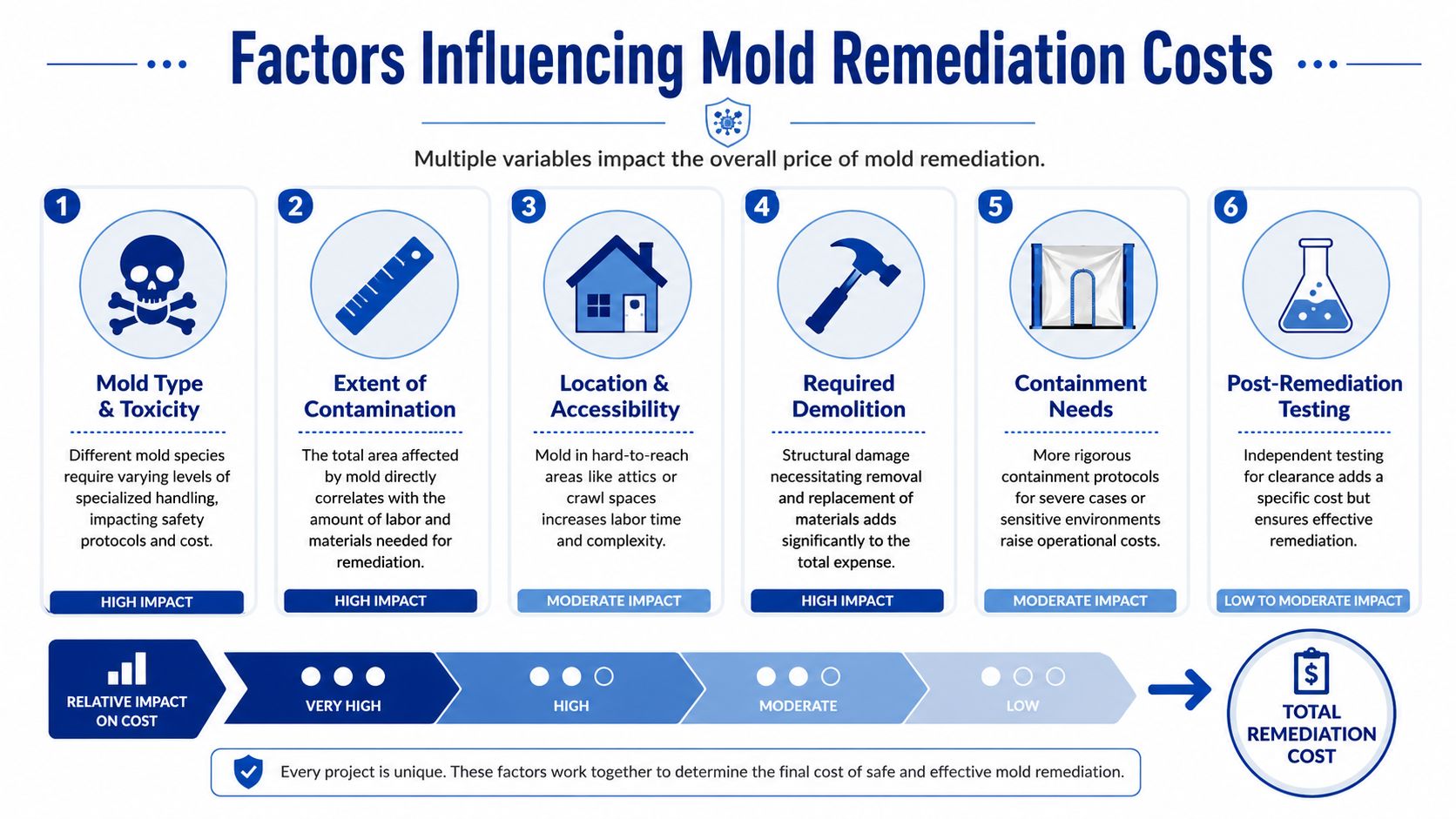 An infographic showing the six key factors that influence the total cost of professional mold remediation services.