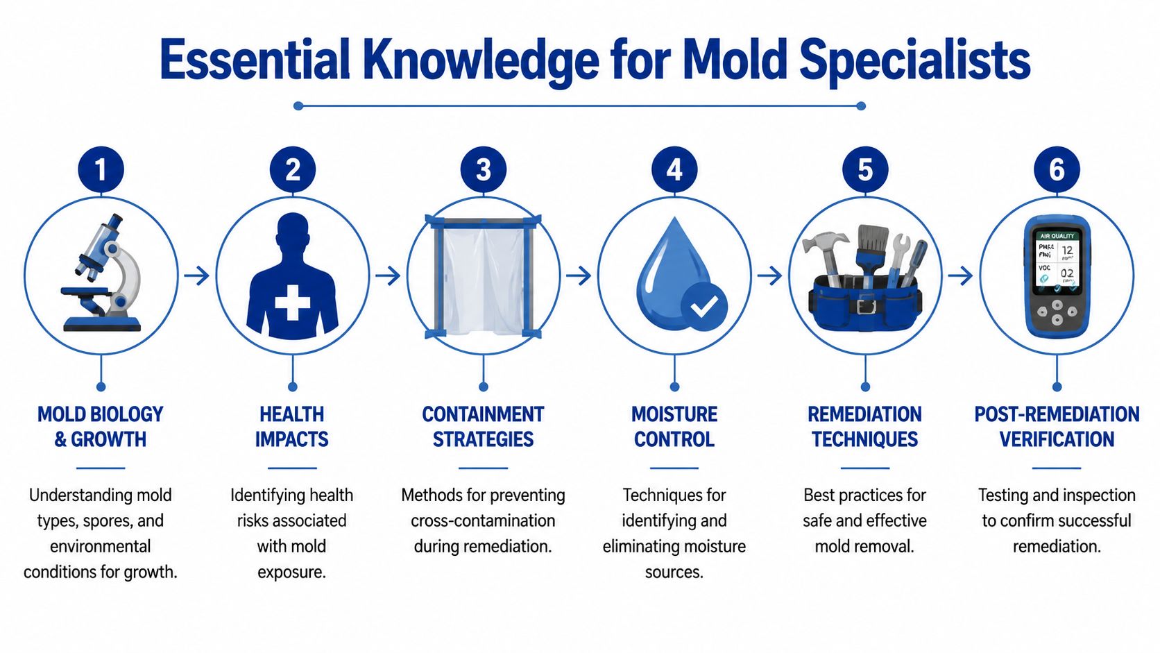 An infographic outlining six essential steps for mold specialists, from understanding biology to post-remediation verification testing.