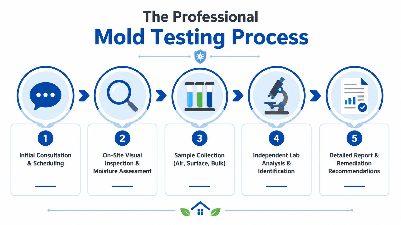 A professional five-step mold testing process infographic, from initial consultation to detailed remediation reports.