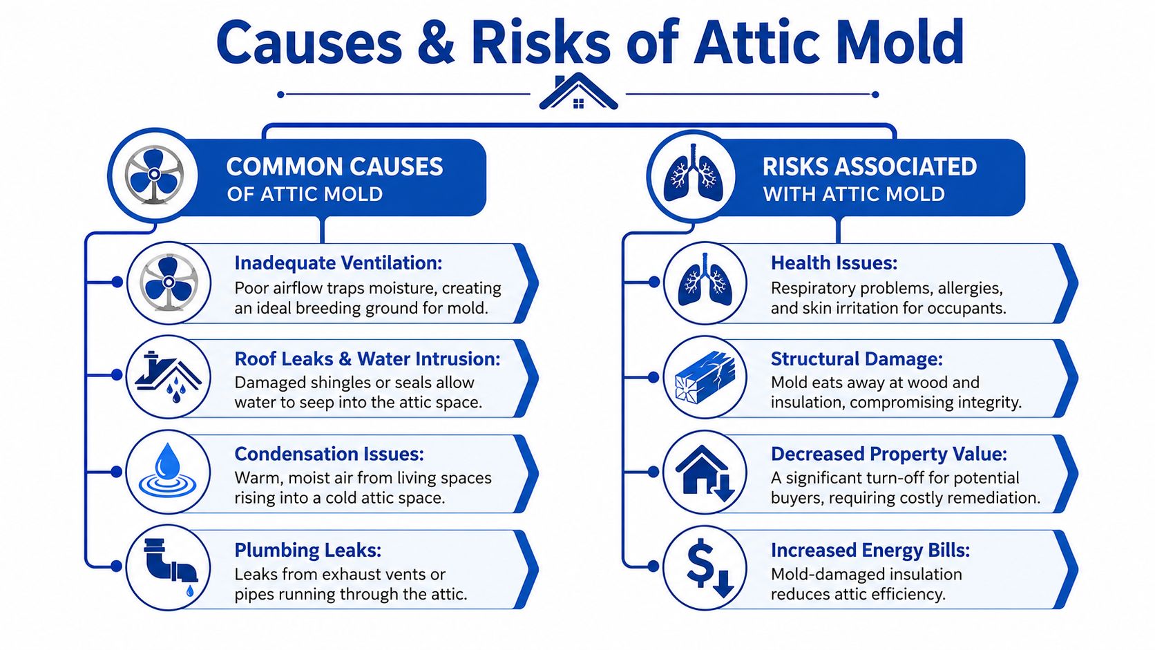 An infographic detailing the various causes of attic mold and the associated risks to health and home.