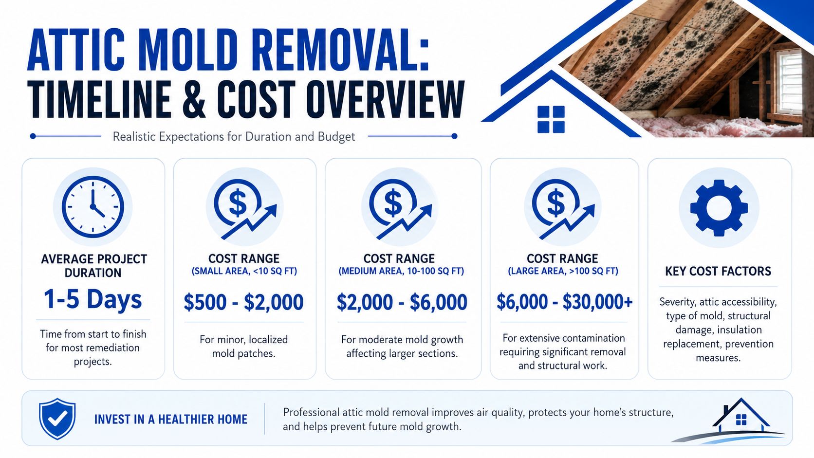 An infographic showing the estimated duration and cost ranges for professional attic mold removal services.