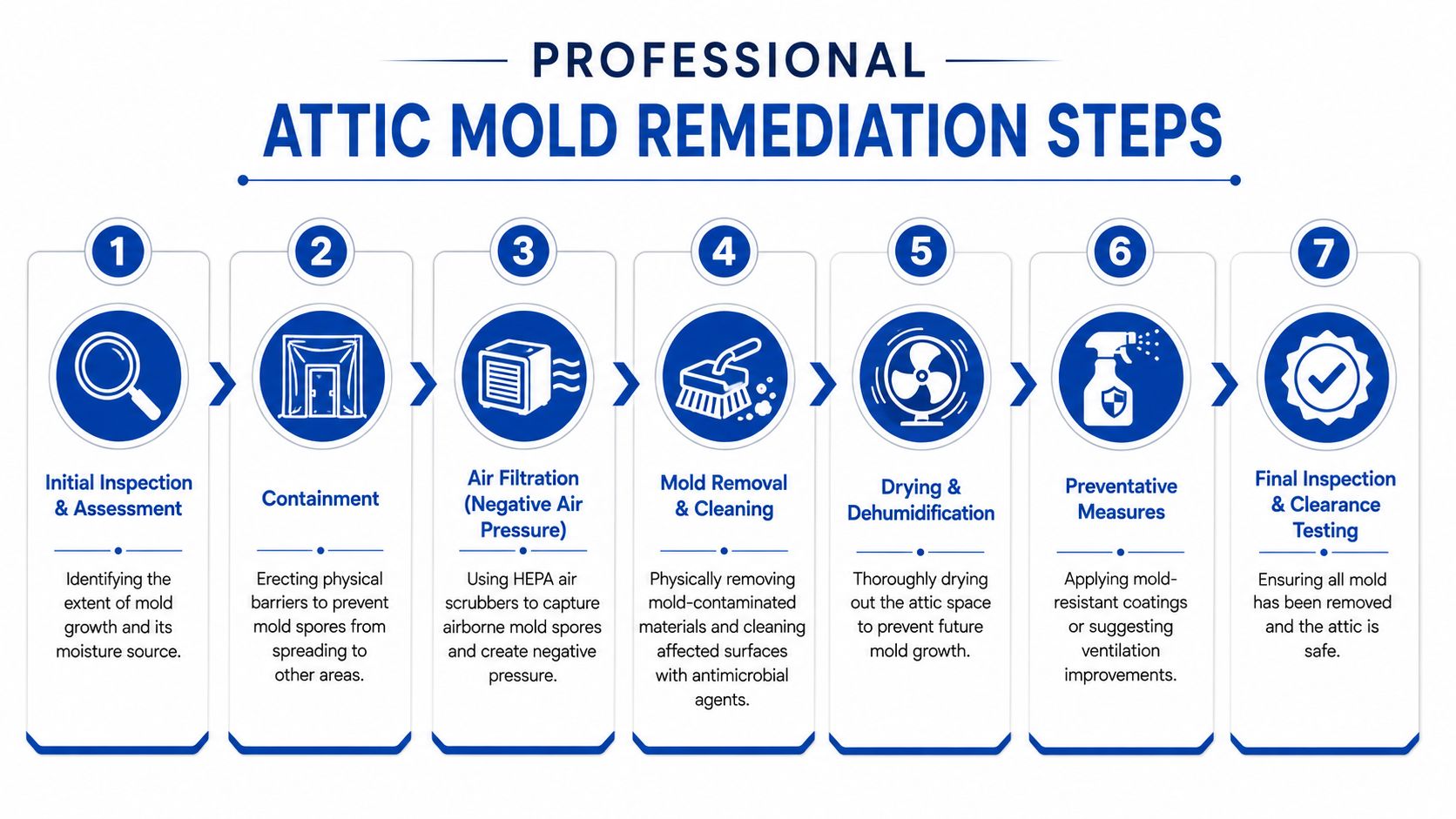 A professional 7-step infographic explaining the process of attic mold remediation and cleaning services.