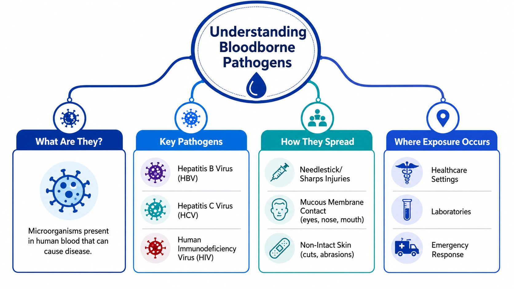 An infographic titled Understanding Bloodborne Pathogens, explaining their definition, key types, transmission methods, and workplace exposure settings.
