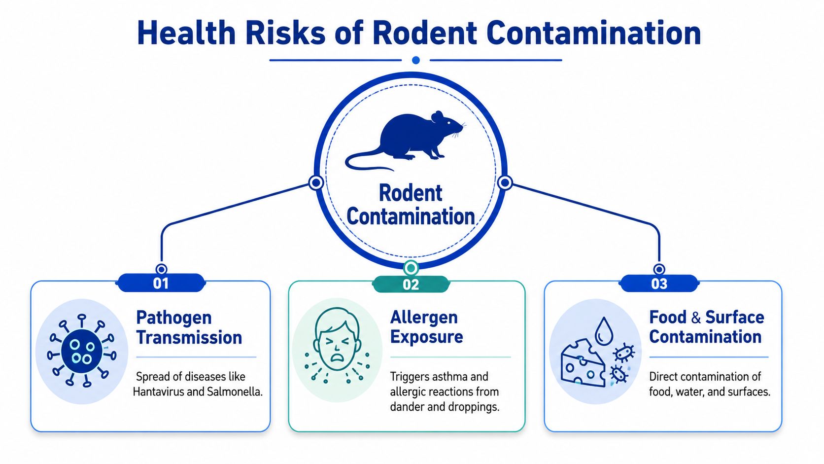 An infographic illustrating three primary health risks associated with rodent contamination, including pathogen transmission, allergen exposure, and food contamination.