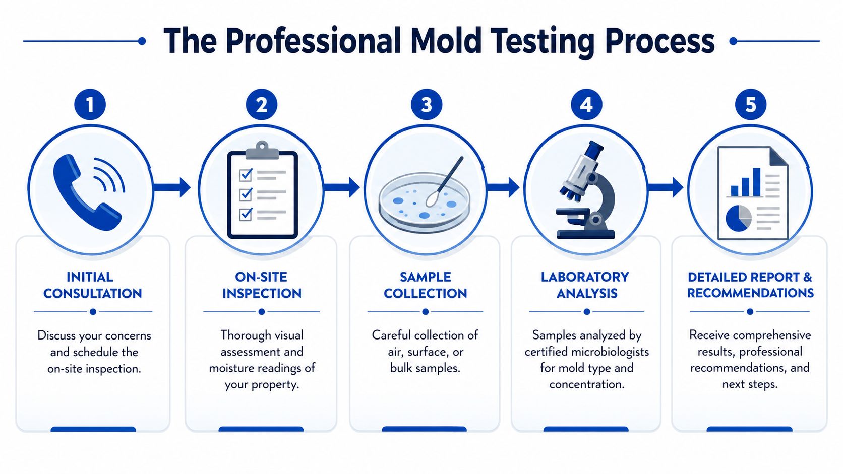 A five-step infographic detailing the professional mold testing process from initial consultation to the final report.